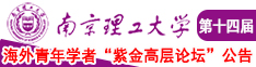 叼鸡操逼免费观看南京理工大学第十四届海外青年学者紫金论坛诚邀海内外英才！